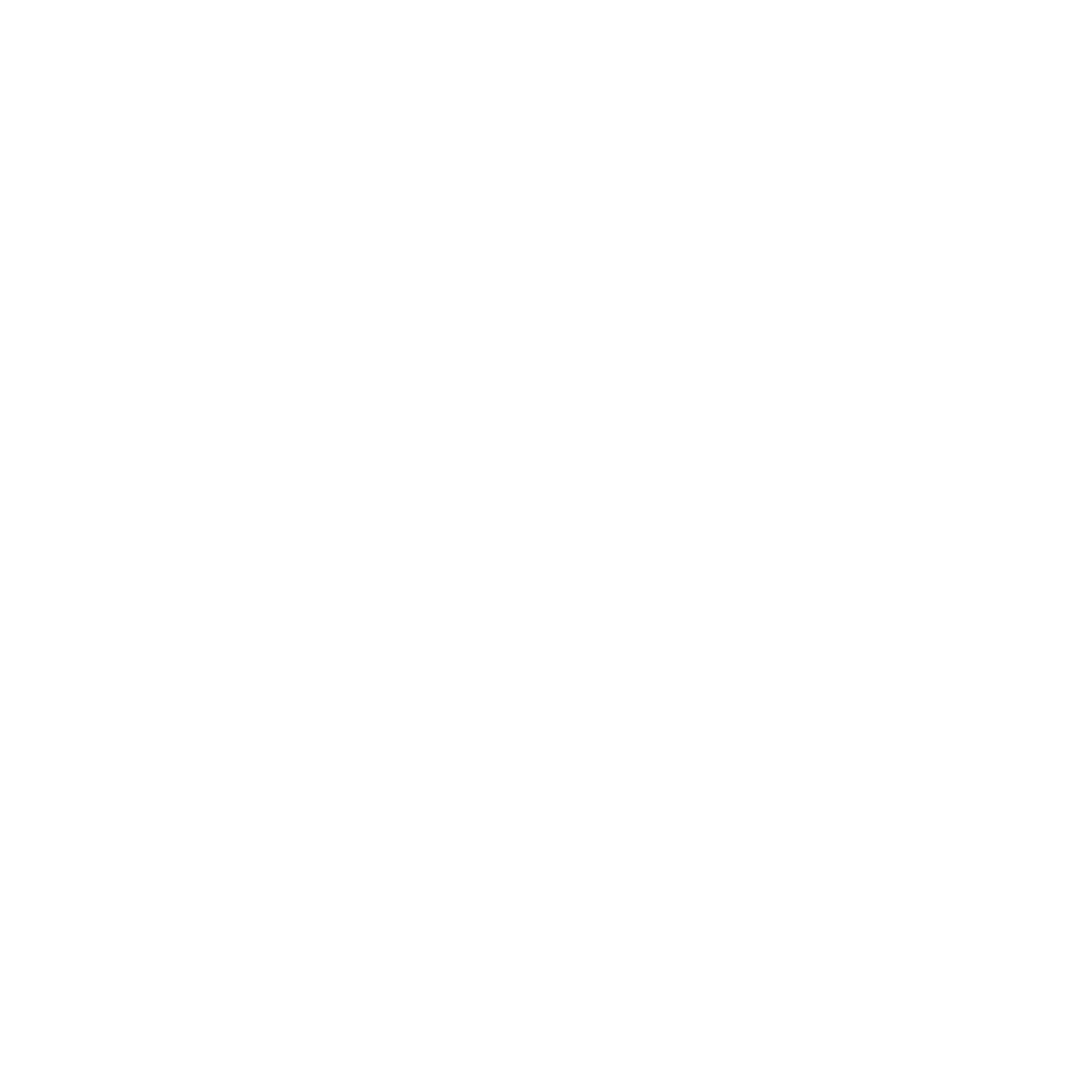 VIP Parking Lot